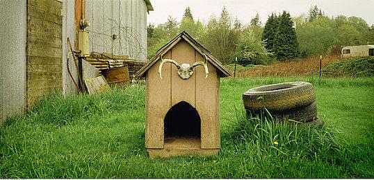 《小小梦魇》手游预告公布 今年冬季上线